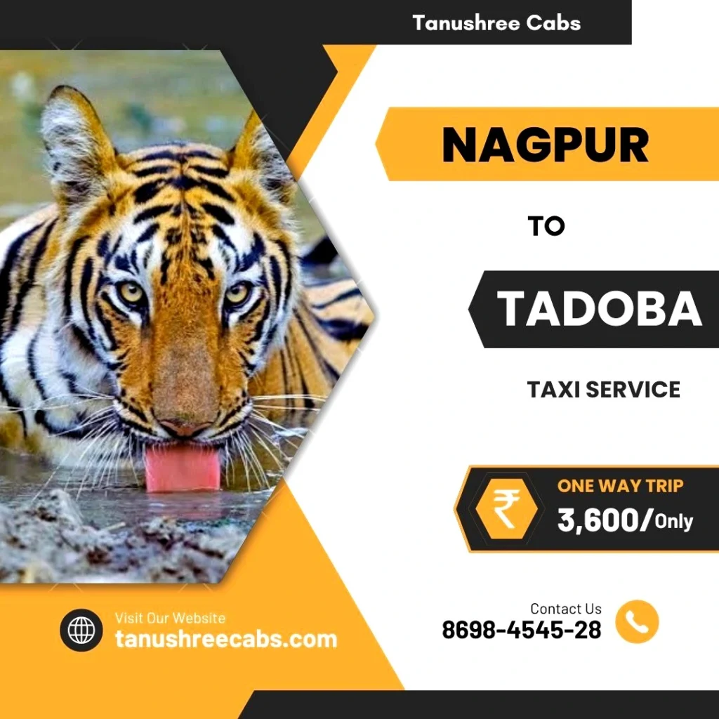 Nagpur to Tadoba Taxi Service