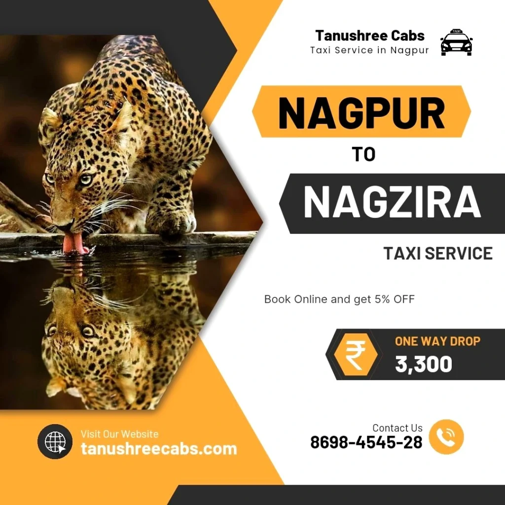 Nagpur to Nagzira Taxi