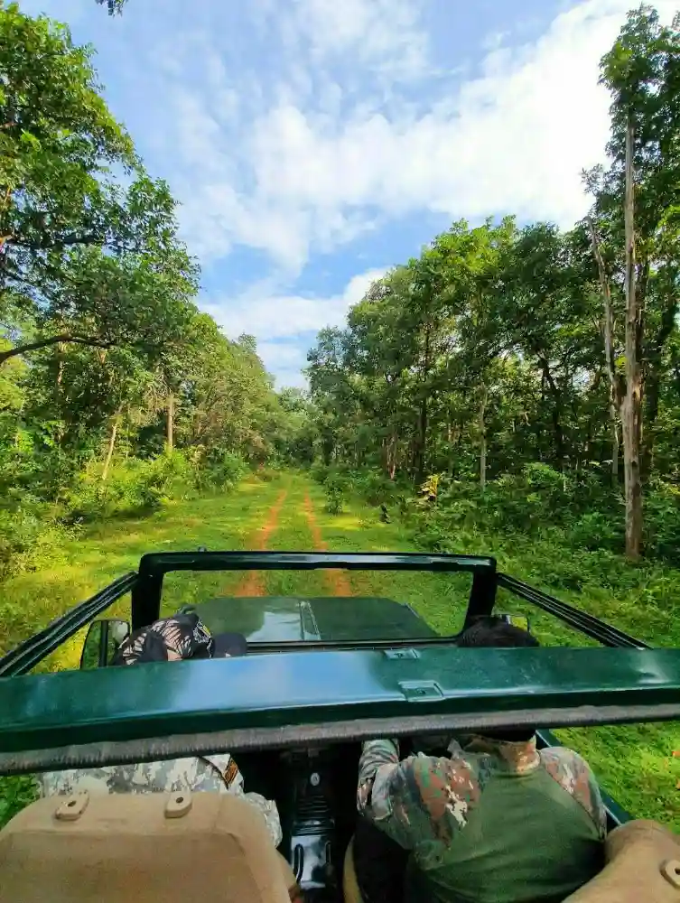 Nagzira-santuary-safari