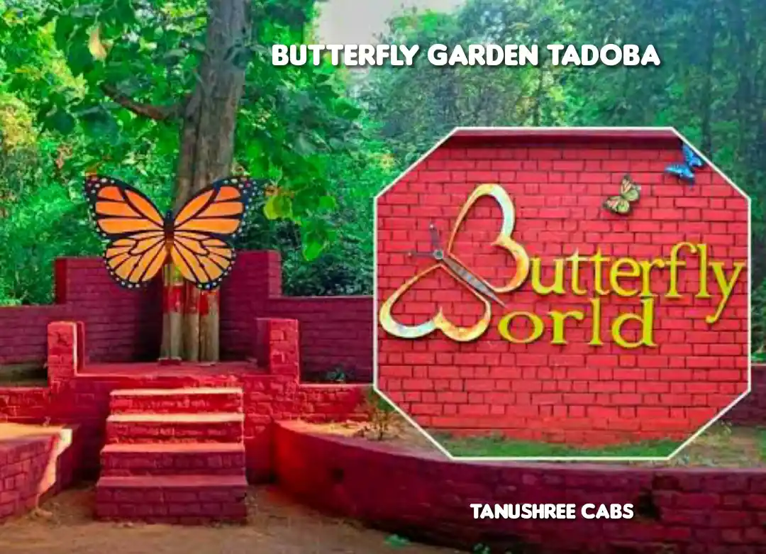 butterfly-garden-tadoba