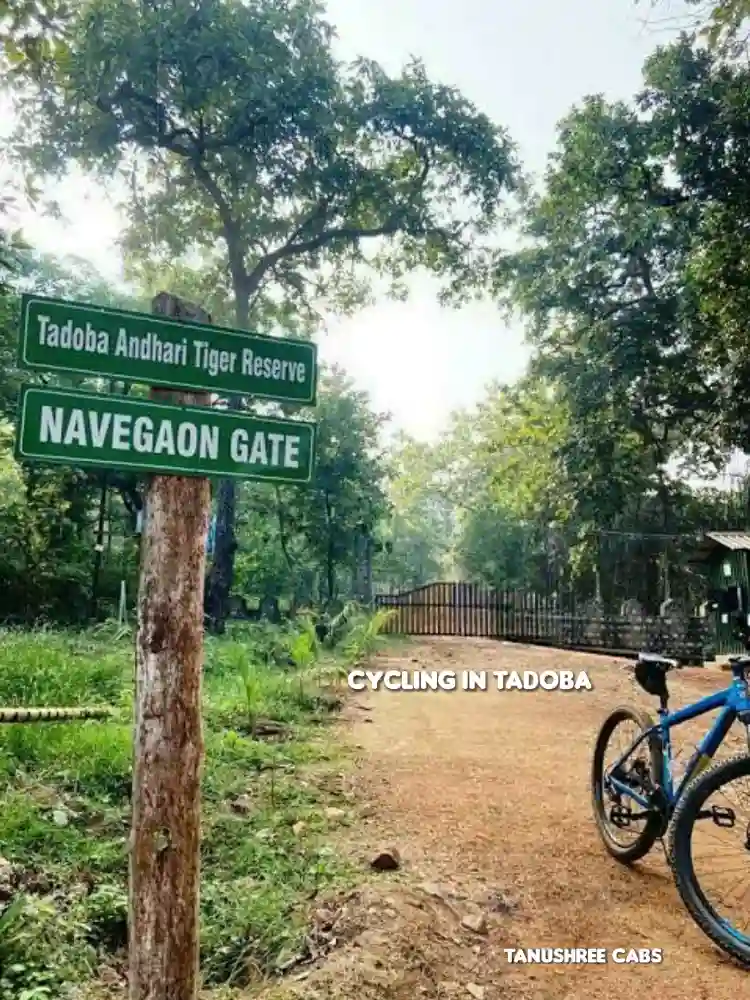 cycling-in-tadoba