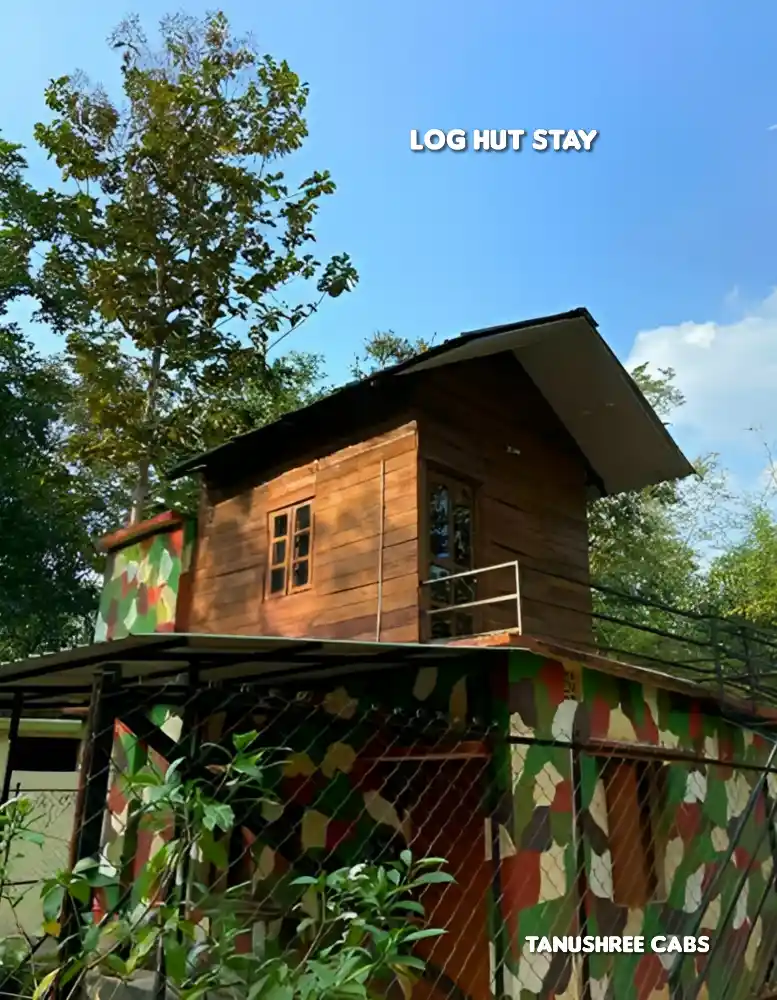 log-hut-stay-tadoba