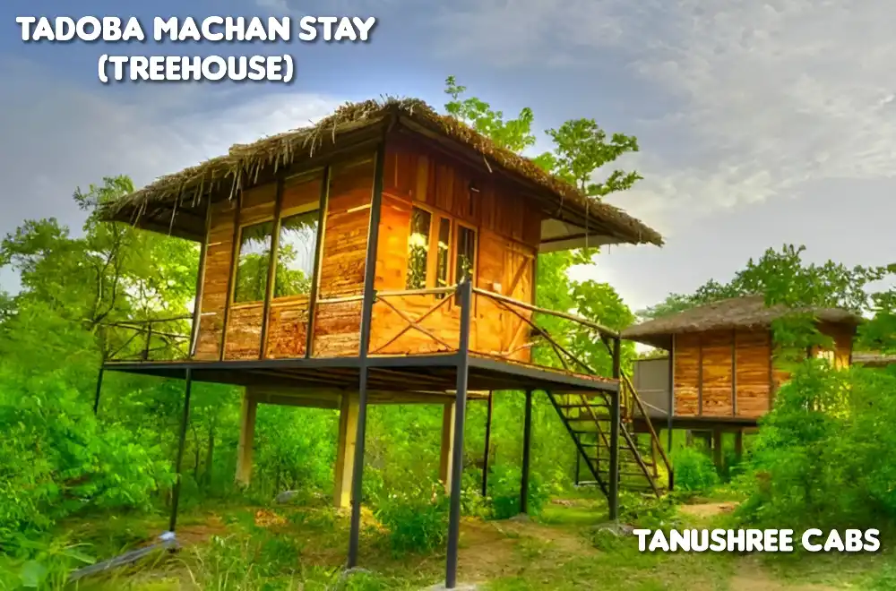 machan-treehouse-tadoba