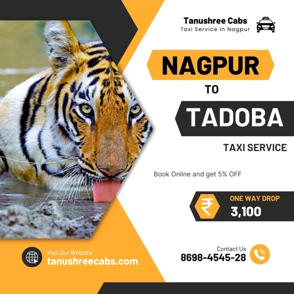 Nagpur to Tadoba Taxi