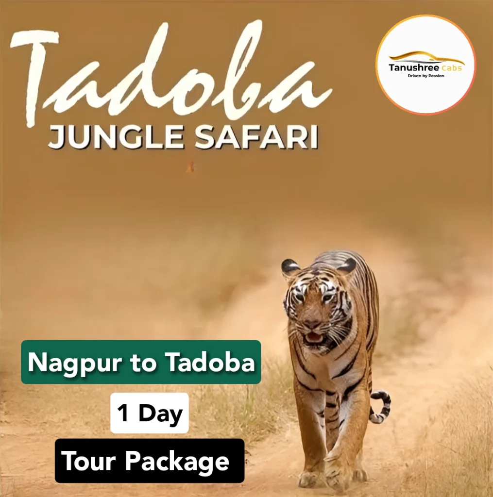 Nagpur to Tadoba 1 day tour package