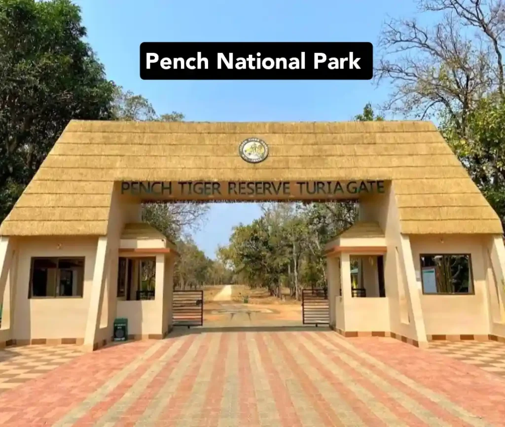 Pench National Park