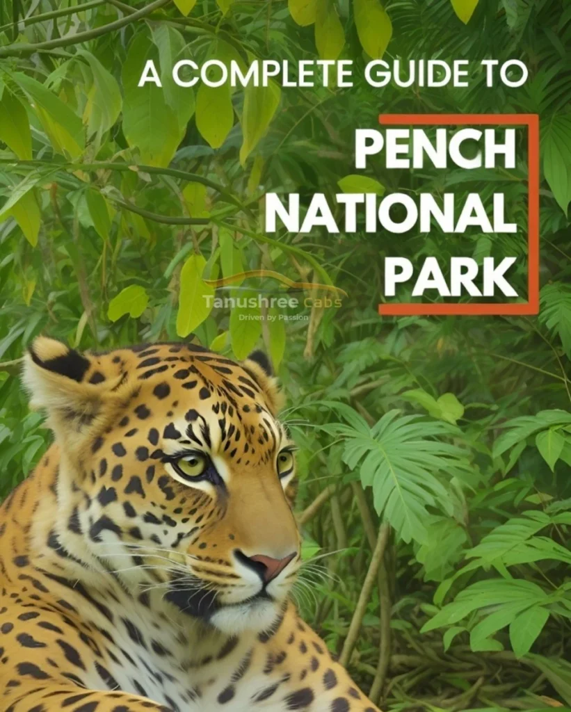 Pench Travel Guide