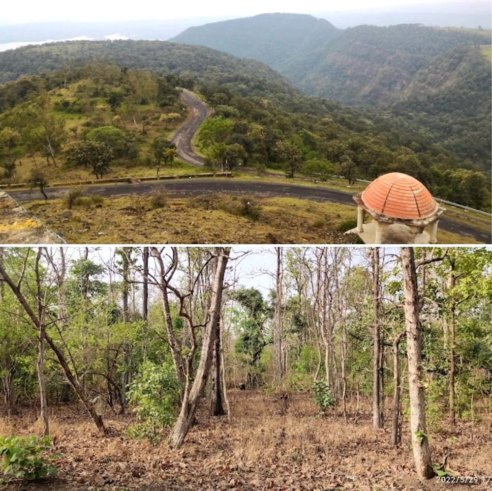 Chikhaldara (semadoh) Jungle Safari