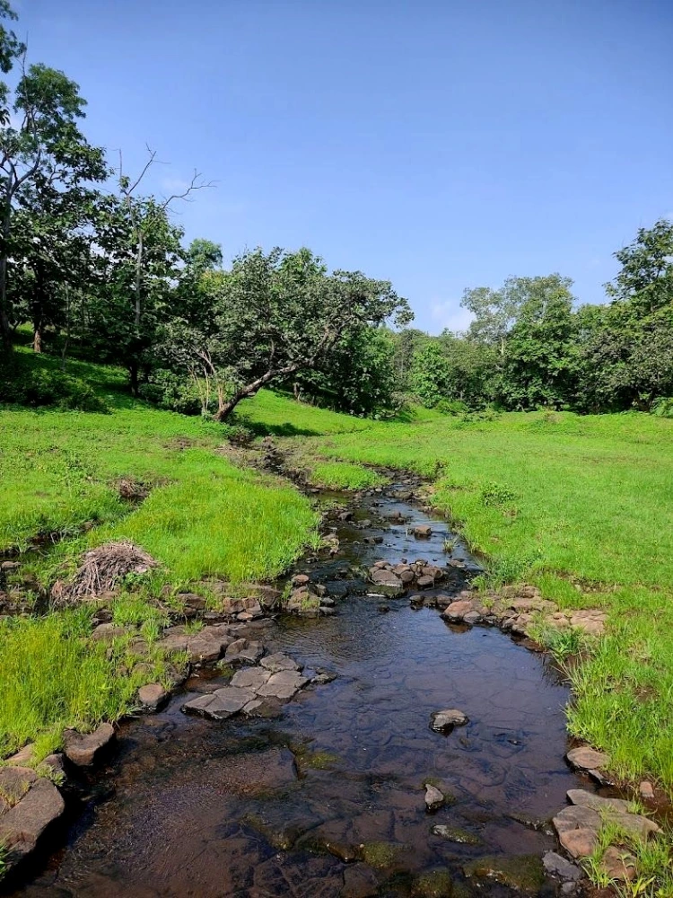 Zilpi Waterfall