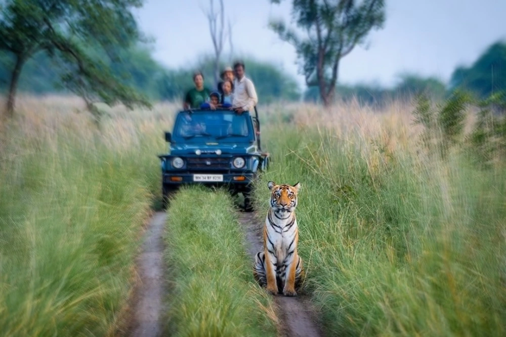 Tadoba Andhari Tiger Reserve