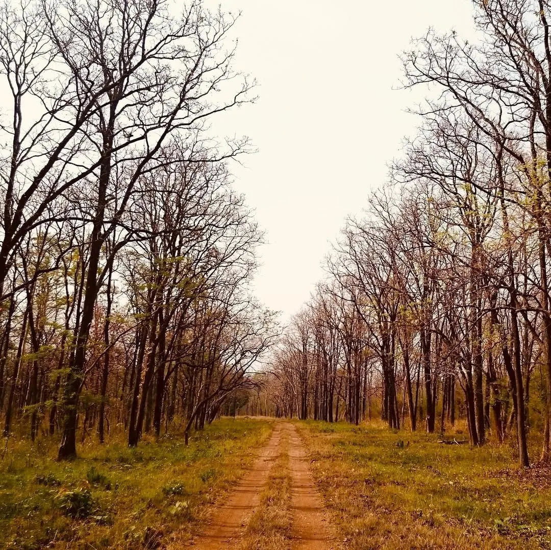 Nagzira Wildlife Sanctuary