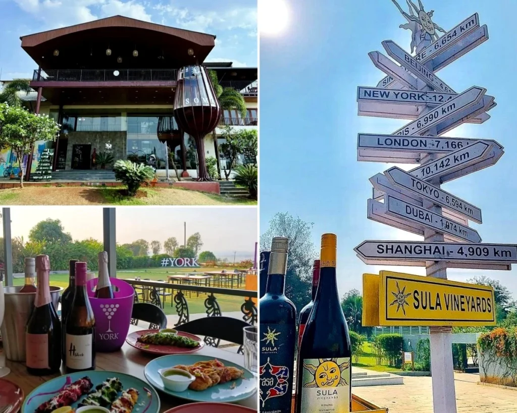 Sula Vineyards, York Winery, Soma Vineyards