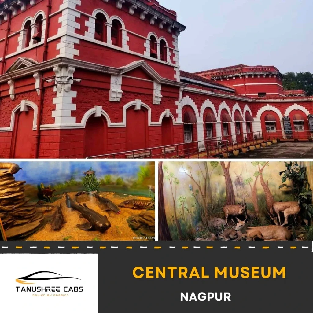 Nagpur Central Museum - Ajan Bangla