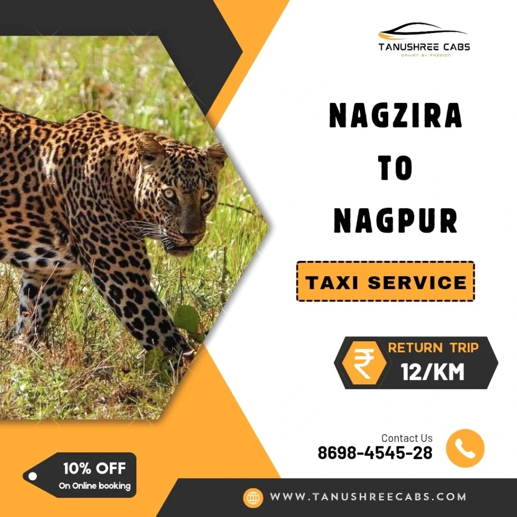 Nagzira to Nagpur Taxi