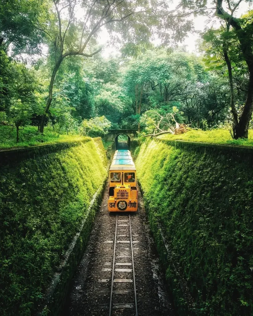 Sanjay Gandhi National Park, Near Mumbai