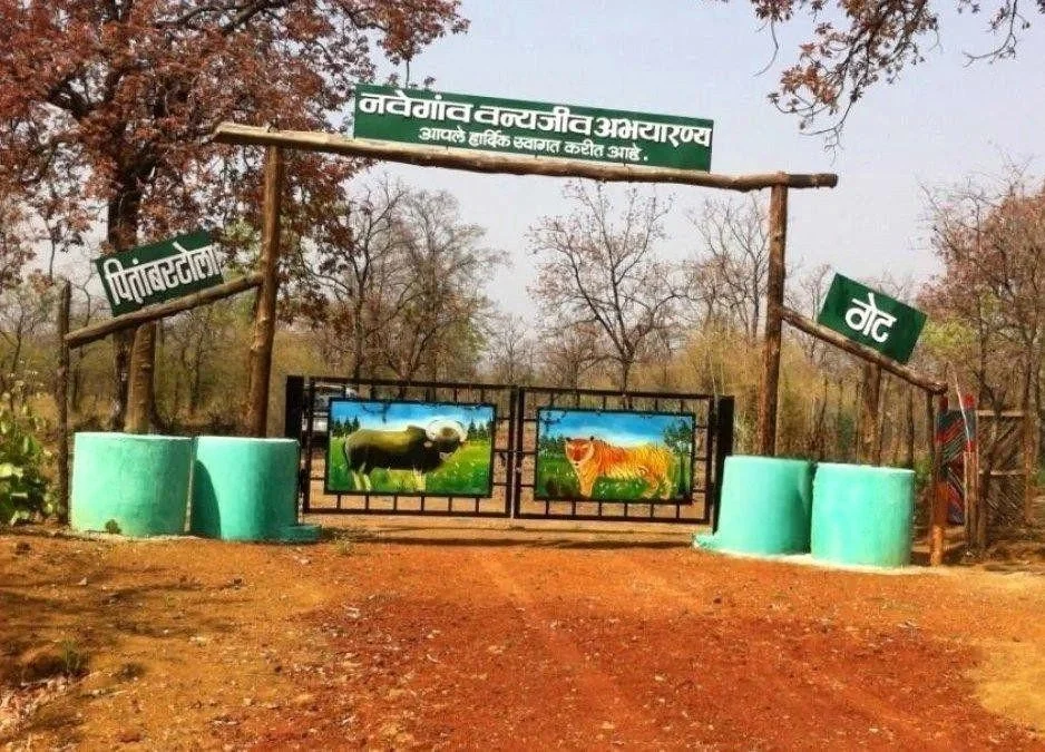 Navegaon National Park